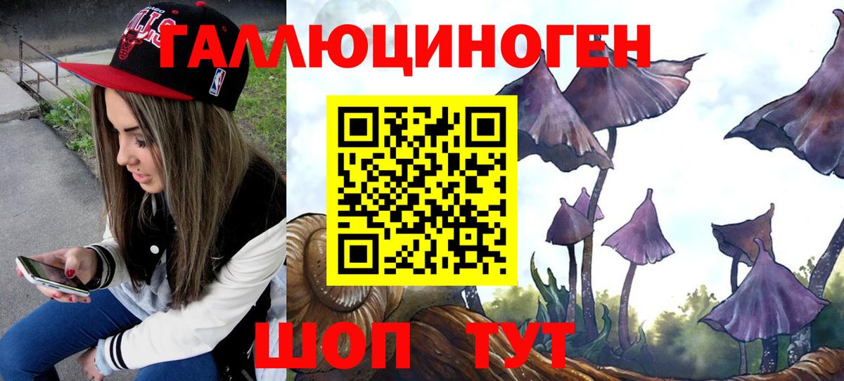 Галлюциногенные грибы прущие грибы  Галлюциногенные грибы MAGIC MUSHROOMS  Конаково  Вход с VPN 
